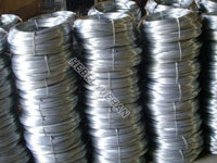 Wire Mesh